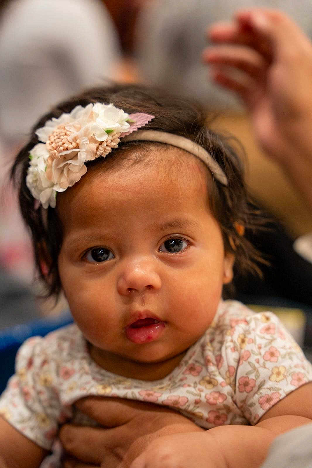 Mayorga joined the competition — help win amazing prizes! baby, child, face, headband, flower, hand, person, portrait, cute, infant, skin, clothing, floral, expression, looking, young, indoors, soft_focus, holding, curious