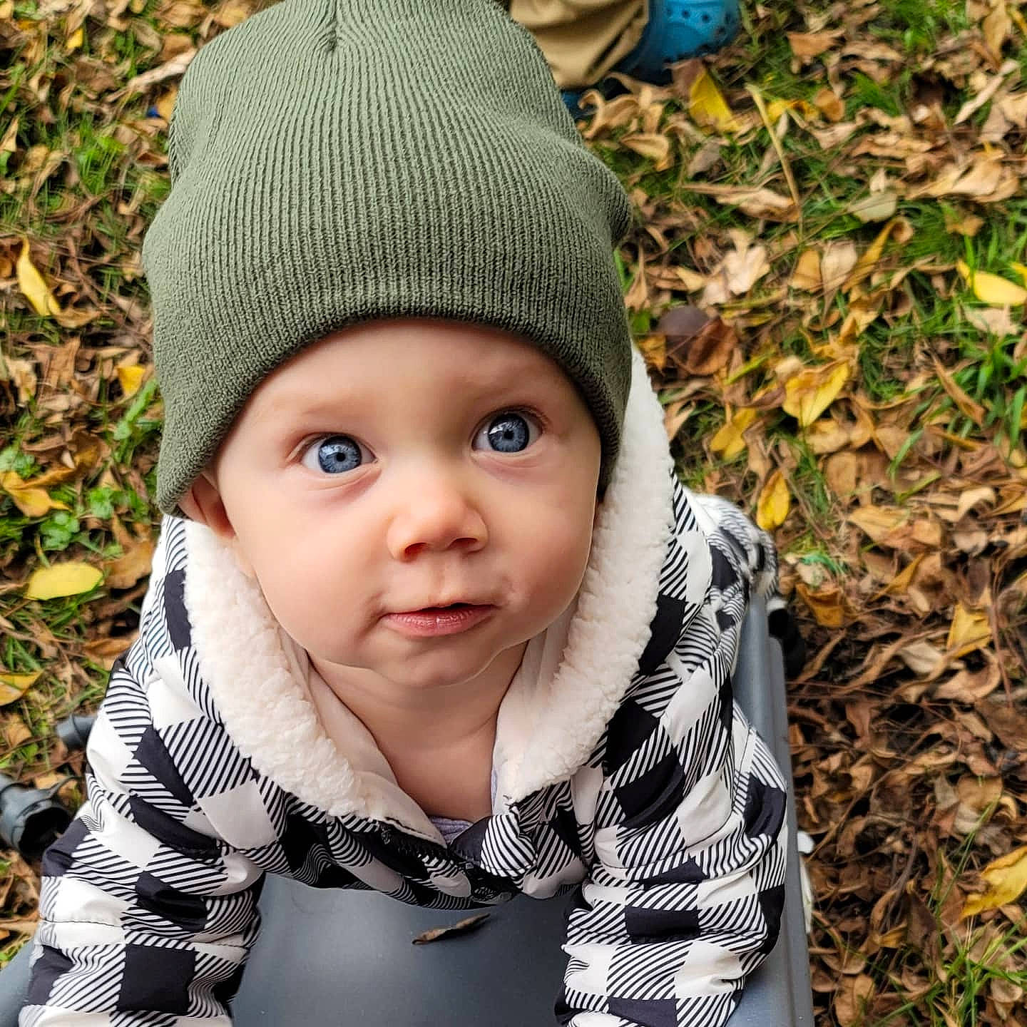 Elias is registered to the contest to win money with this photo: baby, baby_toddler_clothing, cap, cheek, child, clothing, collar, cool, eye, face, grass, happy, head, headgear, headwear, leaf, outerwear, person, photograph, skin