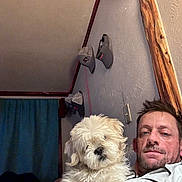 Charlie Mcguffey joined the competition — help win amazing prizes! man, dog, indoor, pet, white_dog, casual, relaxed, portrait, furniture, hat, curtain, wall, beard, hair, clothing, light, room, face, animal, companion