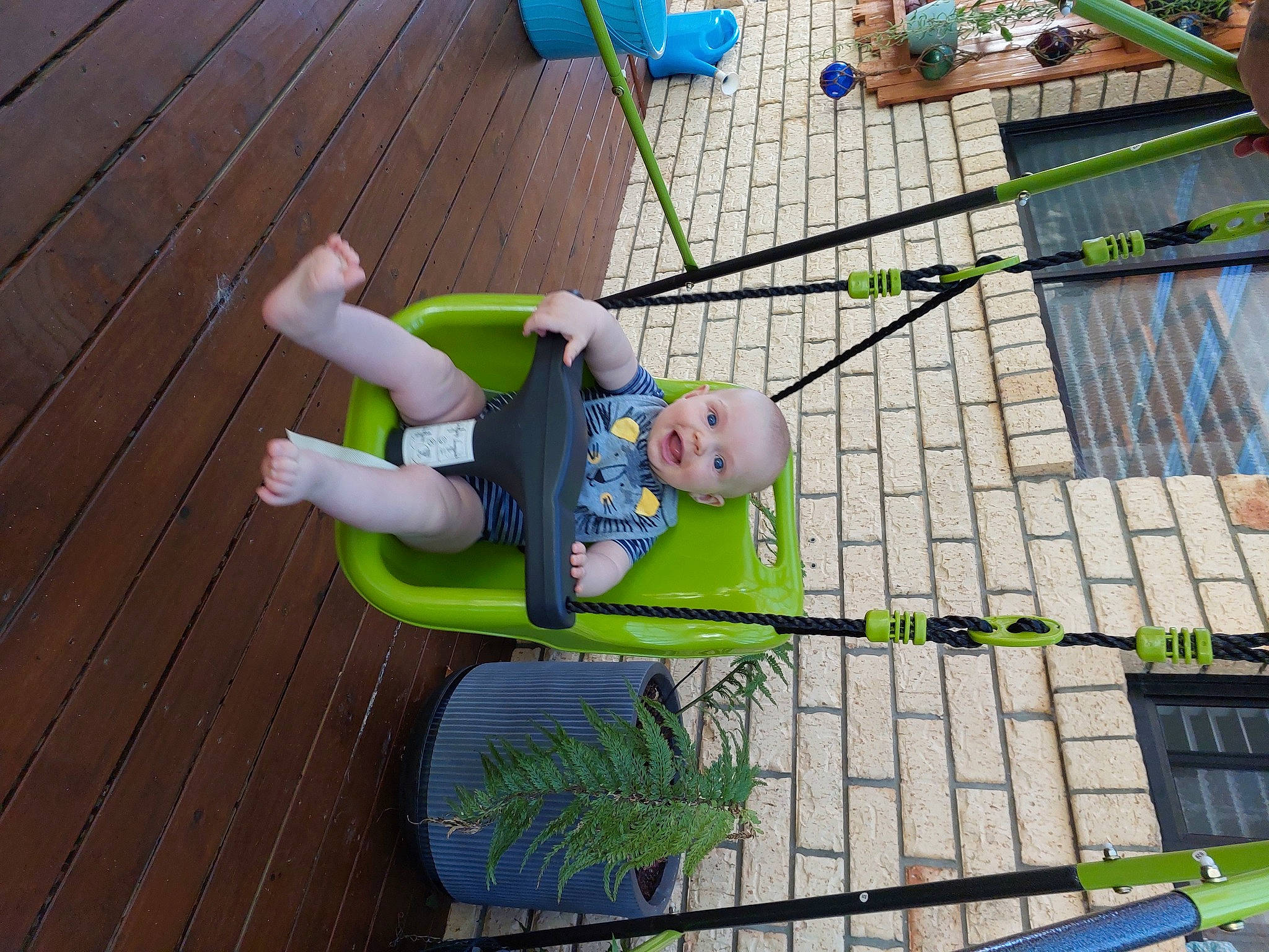 George is registered to the contest to win money with this photo: baby, backyard, child, city, deck, flooring, fun, garden, grass, hardwood, leisure, mesh, person, plant, recreation, roof, toddler, wood, wood_flooring, wood_stain