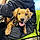 Vinny
