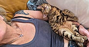 Baïla a rejoint le concours — aidez-le/la à gagner de superbes lots ! cat, bengal_cat, person, tattoo, tank_top, denim_shorts, couch, leather, pillow, relaxing, indoor, casual, feline, striped_cat, pet, resting, comfort, human_arm, jewelry, home