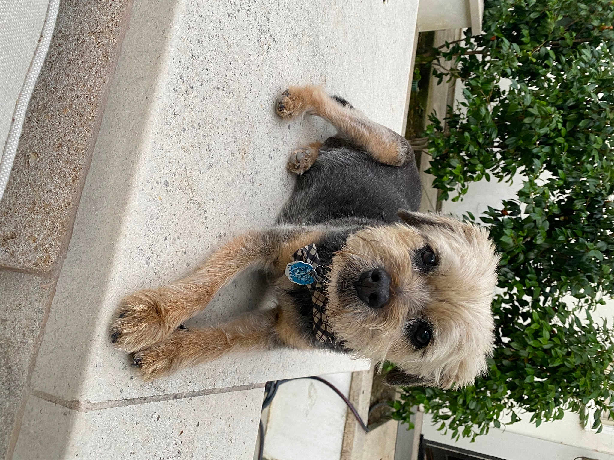 Eddy