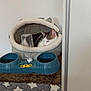 animal, blanket, cat, cat_bed, comfortable, cozy, domestic, feline, home, indoor, pet, pet_feeder, plush, quiet, relaxing, resting, sleeping, soft, star_pattern, water_bottle