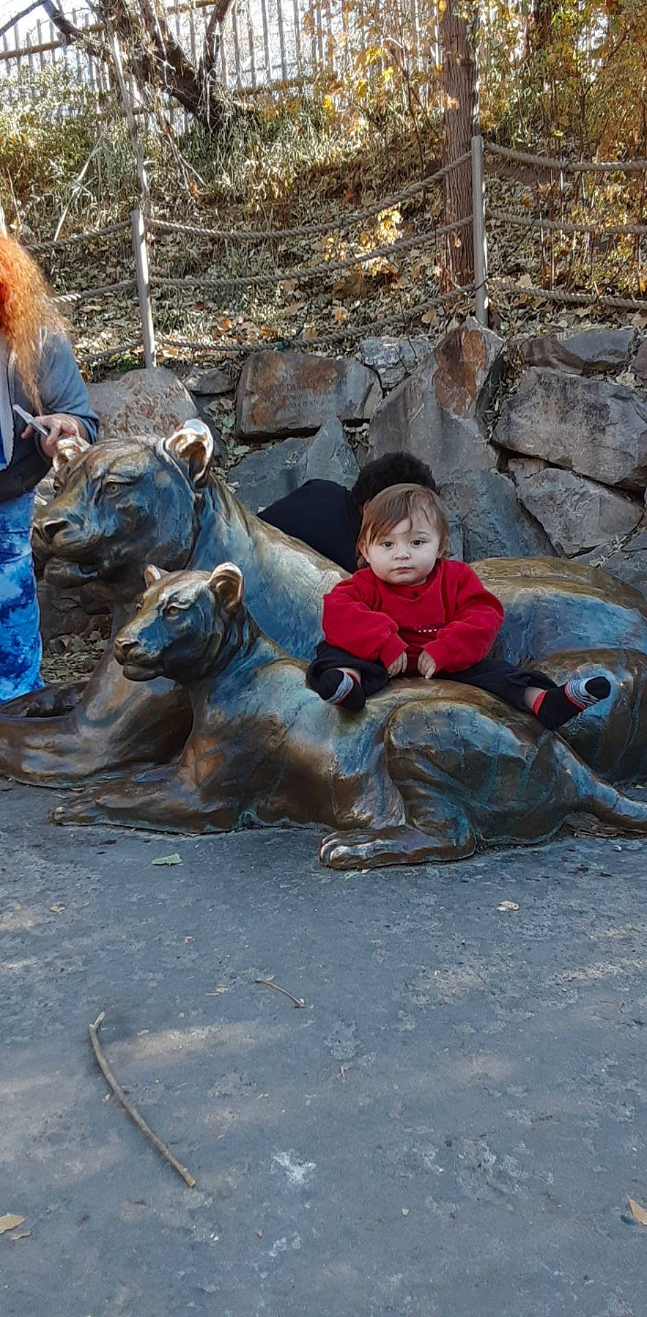 Deangelo is registered to the contest to win money with this photo: child, fawn, person