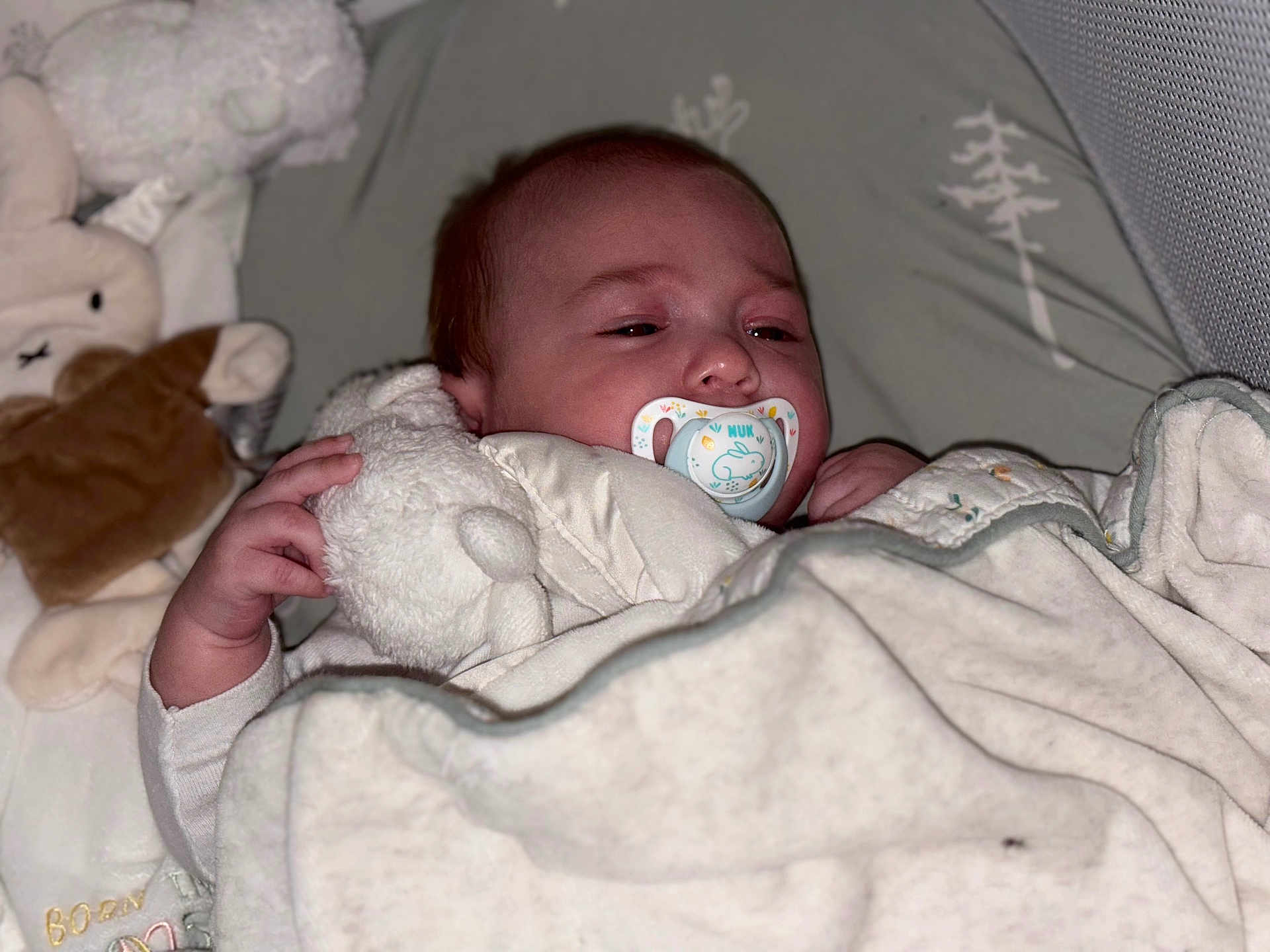 Owen a rejoint le concours — aidez-le/la à gagner de superbes lots ! baby, infant, pacifier, blanket, plush_toy, crib, sleeping, cushion, soft_toy, child, indoors, cute, resting, wrapped, comfort, bedtime, newborn, toddler, peaceful, cozy