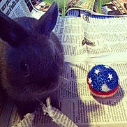 Hikaru is registered to the contest to win money with this photo: