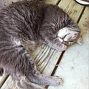 Radar is registered to the contest to win money with this photo: