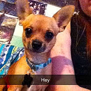 Jack Skeleton is registered to the contest to win money with this photo: