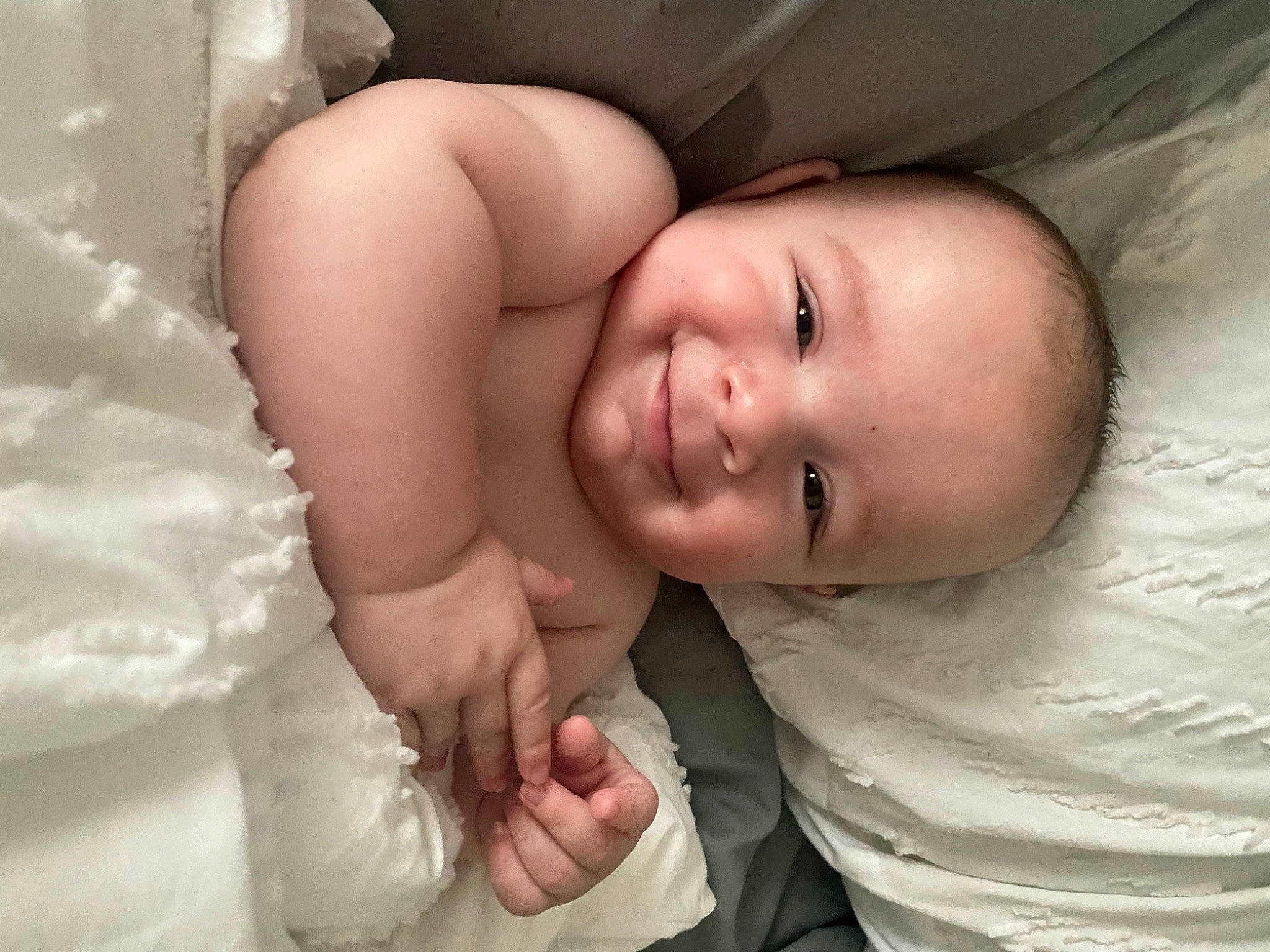 Jaxon is registered to the contest to win money with this photo: arm, baby, cheek, chin, comfort, eyebrow, finger, flash_photography, gesture, happy, human_body, iris, joy, lip, mouth, nose, person, skin, smile, stomach