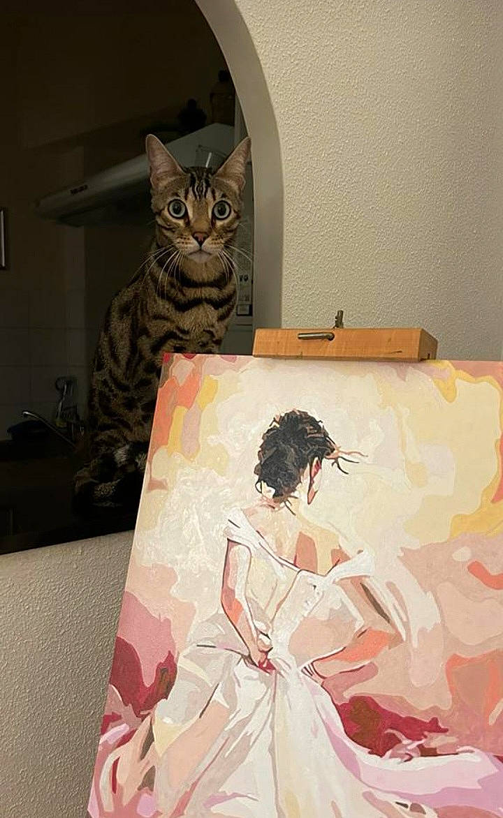 Nioki a rejoint le concours — aidez-le/la à gagner de superbes lots ! art, bedding, carnivore, cat, fashion_design, felidae, flooring, illustration, kimono, linens, painting, paper, paper_product, pattern, peach, room, sleeve, small_to_medium_sized_cats, visual_arts, whiskers