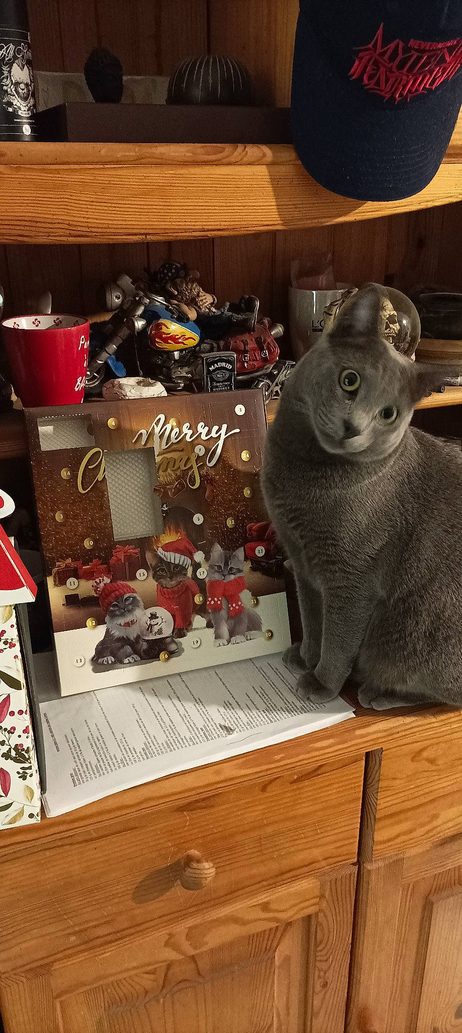 Damon participe au concours pour gagner de l'argent avec cette photo : animal_figure, art, artifact, black_cat, box, brown_bear, carving, collection, event, felidae, fur, metal, ornament, room, small_to_medium_sized_cats, stuffed_toy, toy, visual_arts, whiskers, wood