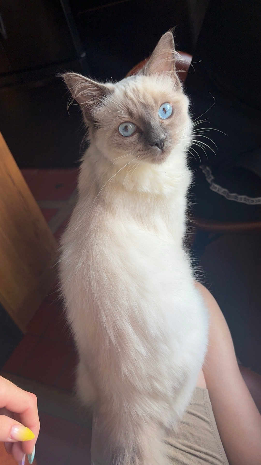 Ares