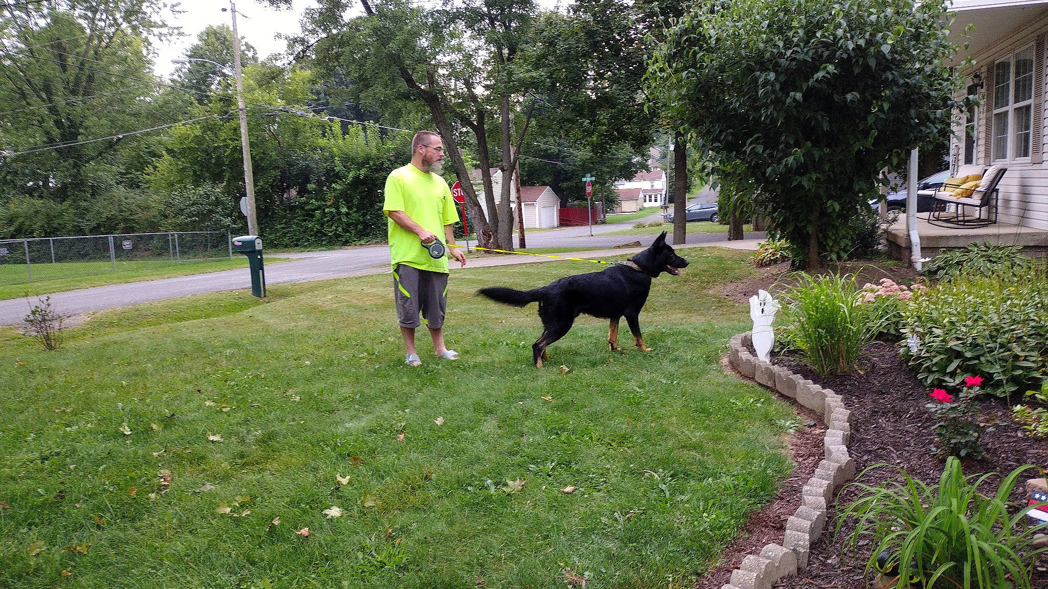 Maximus Anubis Smith is registered to the contest to win money with this photo: canidae, carnivore, companion_dog, dog, dog_breed, dog_walking, garden, grass, groundcover, guard_dog, lawn, leash, leisure, plant, recreation, shrub, sporting_group, tail, tree, walking