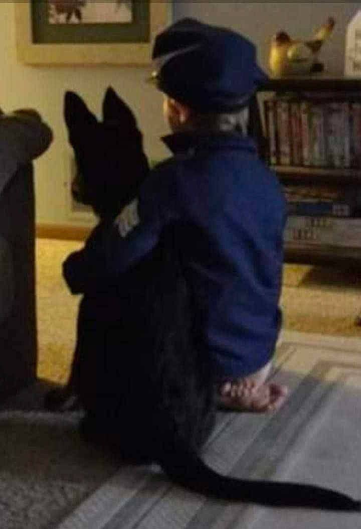 Maximus Anubis Smith is registered to the contest to win money with this photo: carnivore, companion_dog, cowboy_hat, dog, dog_breed, fedora, flooring, formal_wear, fur, hat, personal_protective_equipment, picture_frame, room, shelf, shelving, sitting, suit, sun_hat, tail, uniform