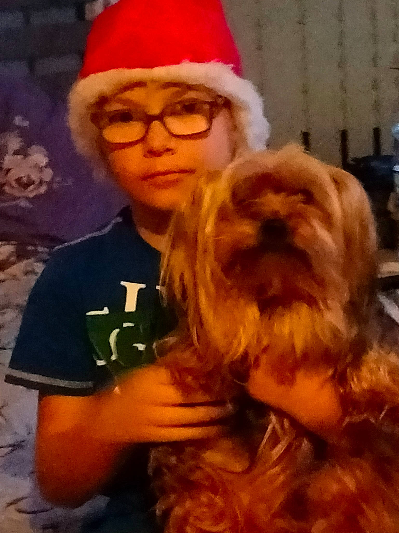 Bradley participe au concours pour gagner de l'argent avec cette photo : beard, blond, carnivore, companion_dog, dog, dog_breed, event, eyewear, glasses, hair, happy, hat, head, headwear, human_body, liver, person, small_terrier, sunglasses, terrier