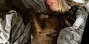 Brownie is registered to the contest to win money with this photo: child, dog, sleeping, blanket, bed, indoor, resting, cozy, fur, spotted_dog, pillow, blanket_texture, peaceful, cute, nap, human, animal, domestic, comfort, relaxation