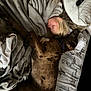 child, dog, sleeping, blanket, bed, indoor, resting, cozy, fur, spotted_dog, pillow, blanket_texture, peaceful, cute, nap, human, animal, domestic, comfort, relaxation