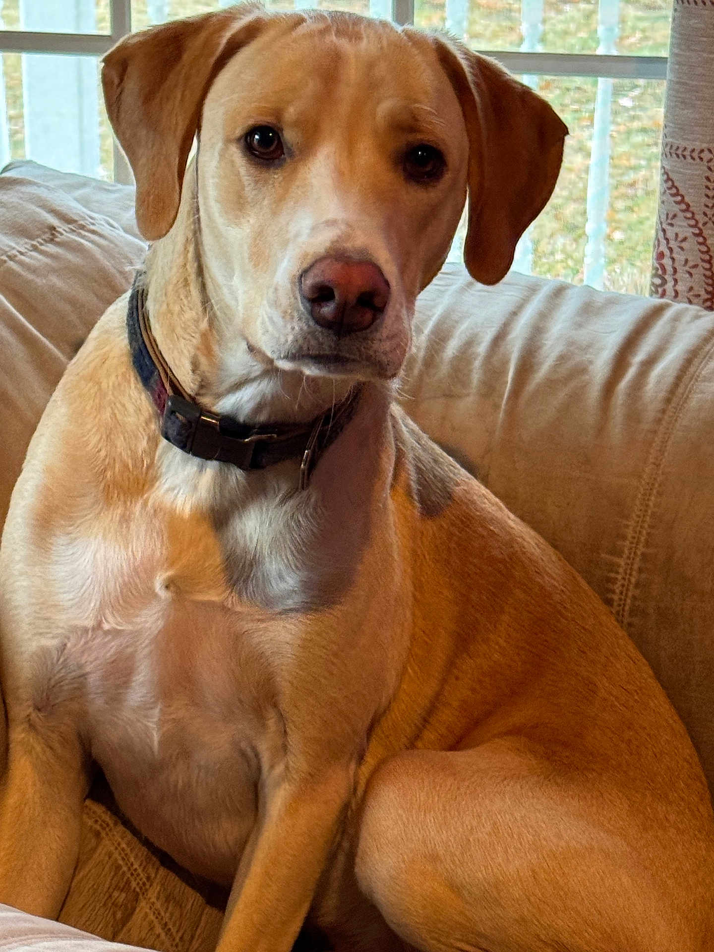 Buster