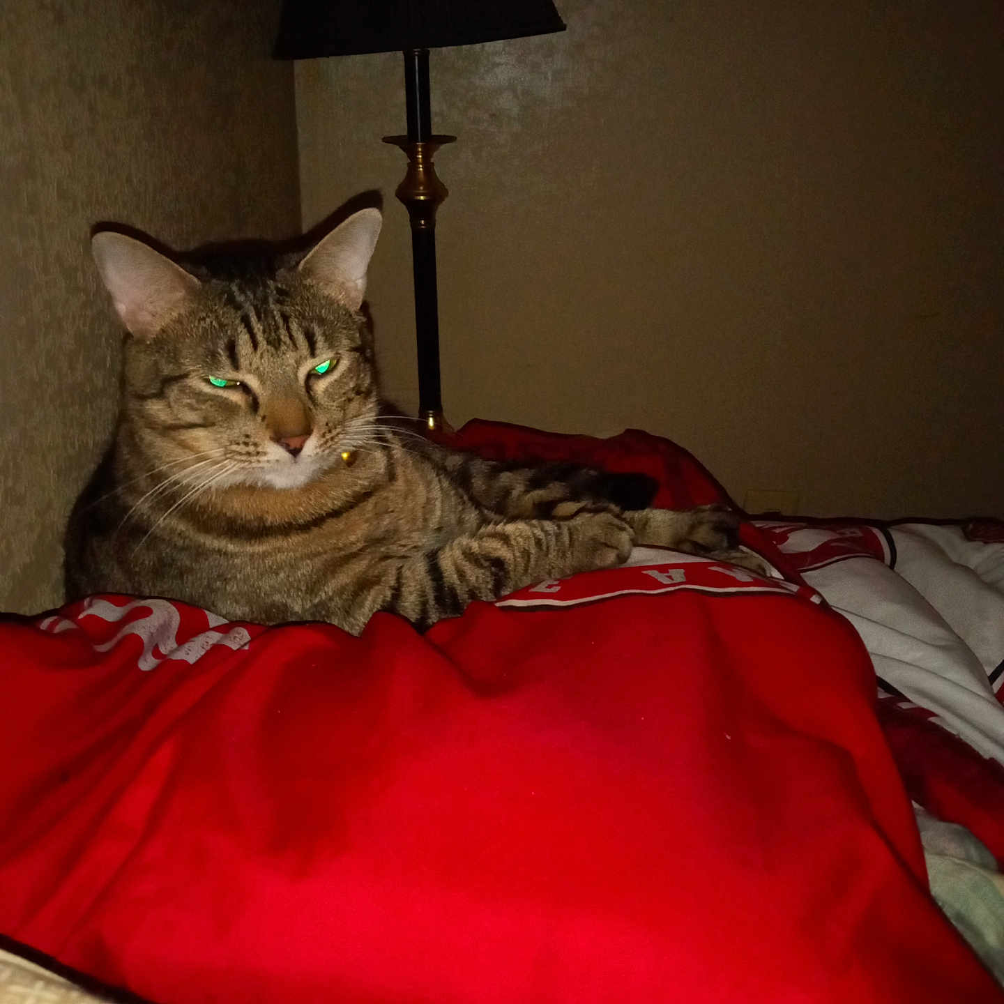 Bama