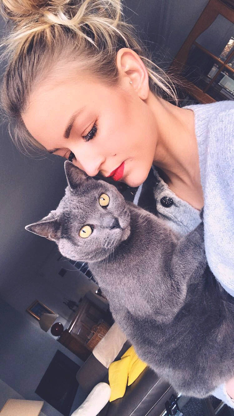 Sarko participe au concours pour gagner de l'argent avec cette photo : arm, carnivore, cat, child, domestic_short_haired_cat, ear, eye, eyelash, fawn, felidae, fur, grey, happy, head, sitting, skin, small_to_medium_sized_cats, snout, toddler, whiskers