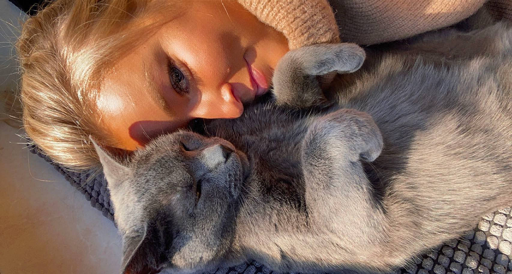 Sarko a rejoint le concours — aidez-le/la à gagner de superbes lots ! carnivore, comfort, dog_breed, ear, eye, eyelash, face, fawn, felidae, gesture, grey, happy, kiss, mammal, nose, skin, smile, vertebrate, whiskers, wrinkle