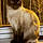 Mr Minxter