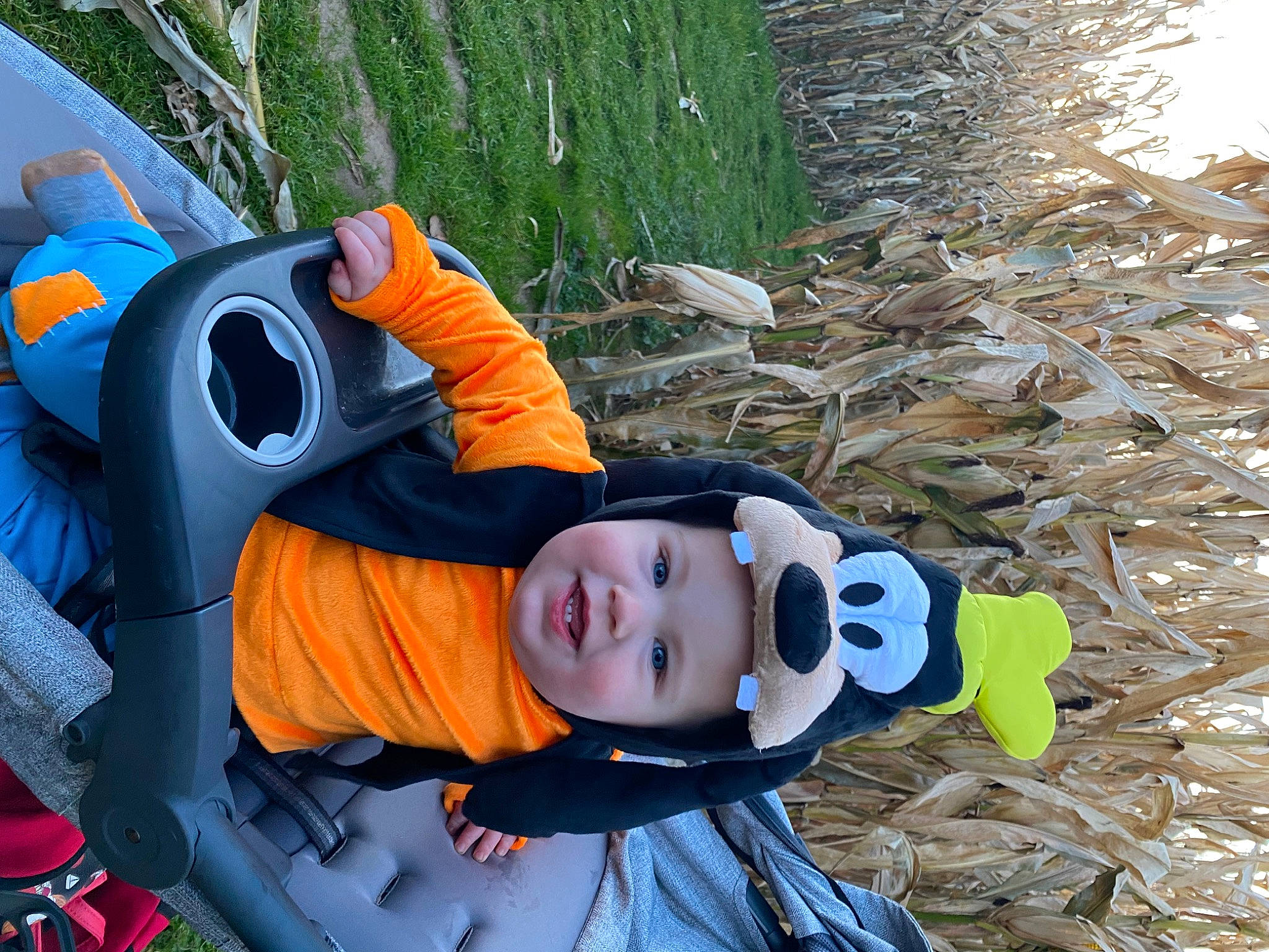 Jessie is registered to the contest to win money with this photo: baby, baby_products, child, costume, fictional_character, fun, grass, hat, headgear, headwear, lawn_ornament, leisure, person, personal_protective_equipment, plant, recreation, smile, toddler, tree, vacation