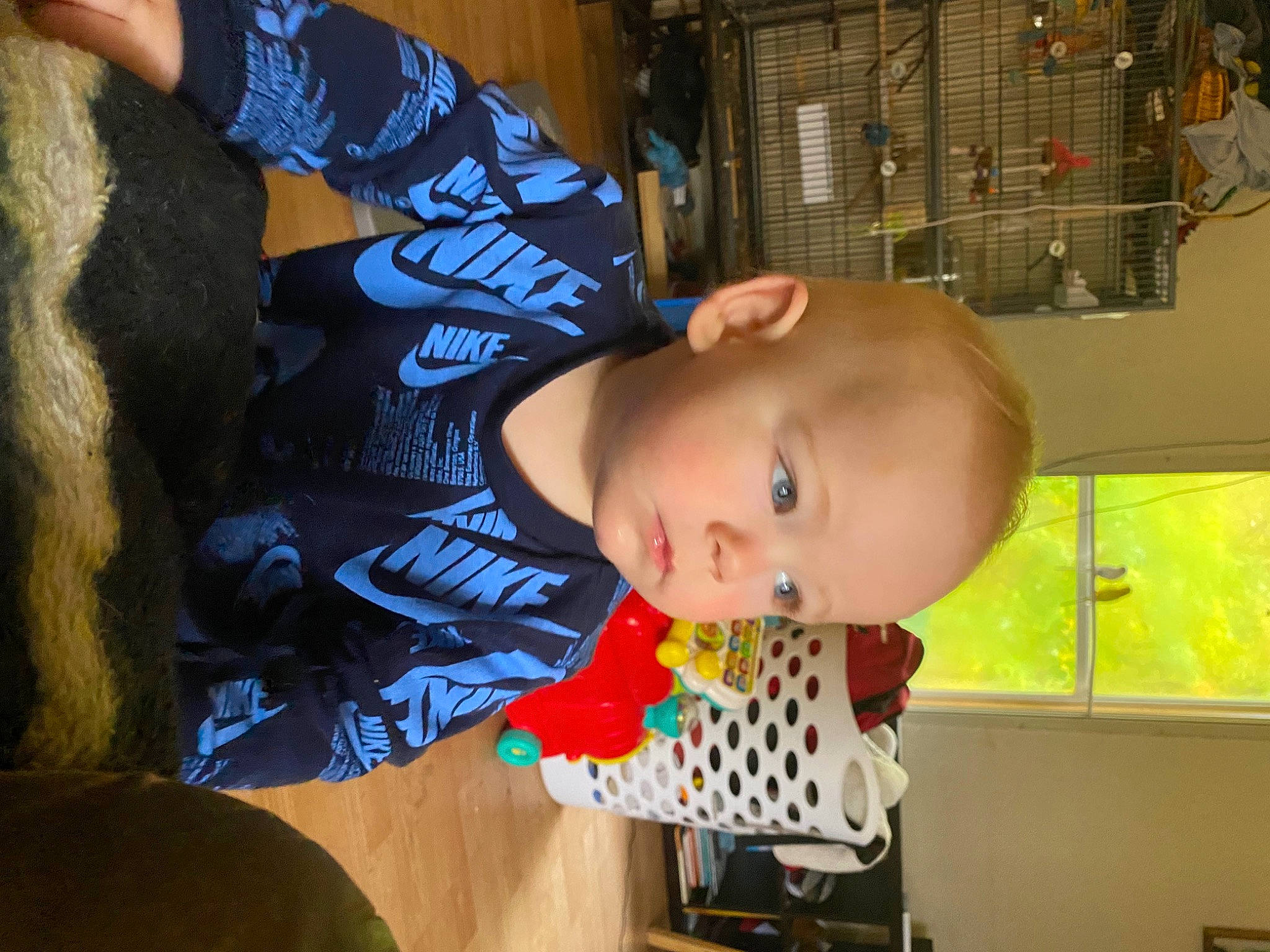 Jessie joined the competition — help win amazing prizes! baby, baby_products, baby_toddler_clothing, child, flooring, fun, pattern, person, play, room, smile, toddler, tree, wood, world