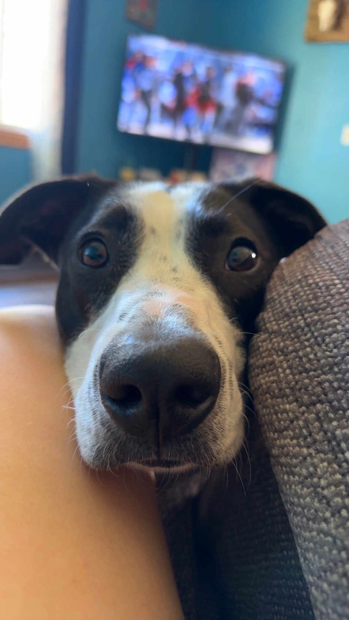 Waylon