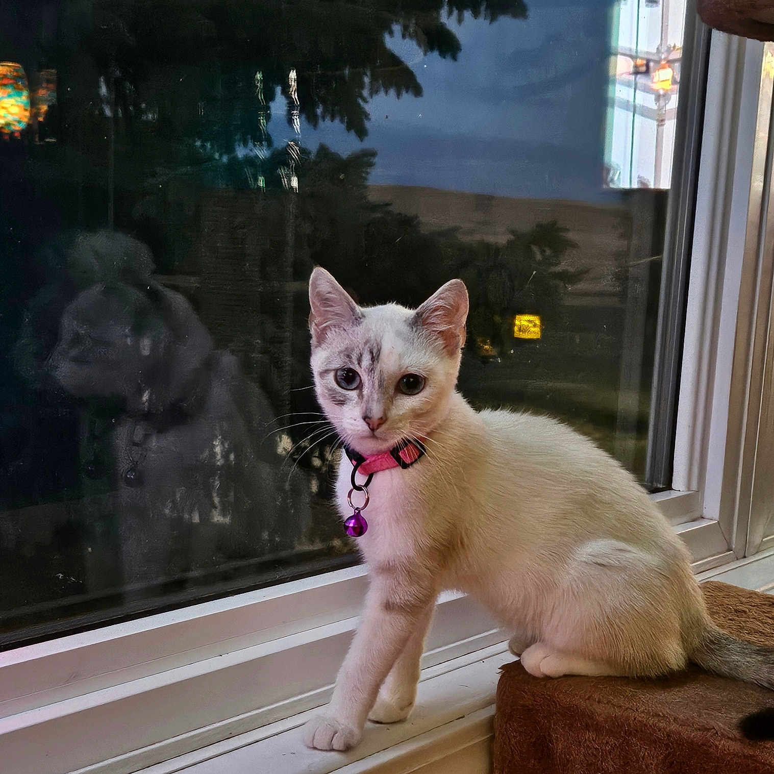 Athena