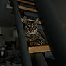 Mimine a rejoint le concours — aidez-le/la à gagner de superbes lots ! cat, tabby, feline, pet, animal, portrait, closeup, wooden_step, staircase, indoor, dark, low_light, striped_fur, green_eyes, whiskers, ears, sitting, looking_at_camera, shallow_depth_of_field, cozy