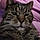 Tigger