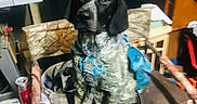 Bae joined the competition — help win amazing prizes! animal, black_and_white, bucket, camouflage, can, chair, clutter, container, cord, dog, fabric, household_items, indoor, looking, metal_frame, military_uniform, pet, sitting, table, wooden_furniture