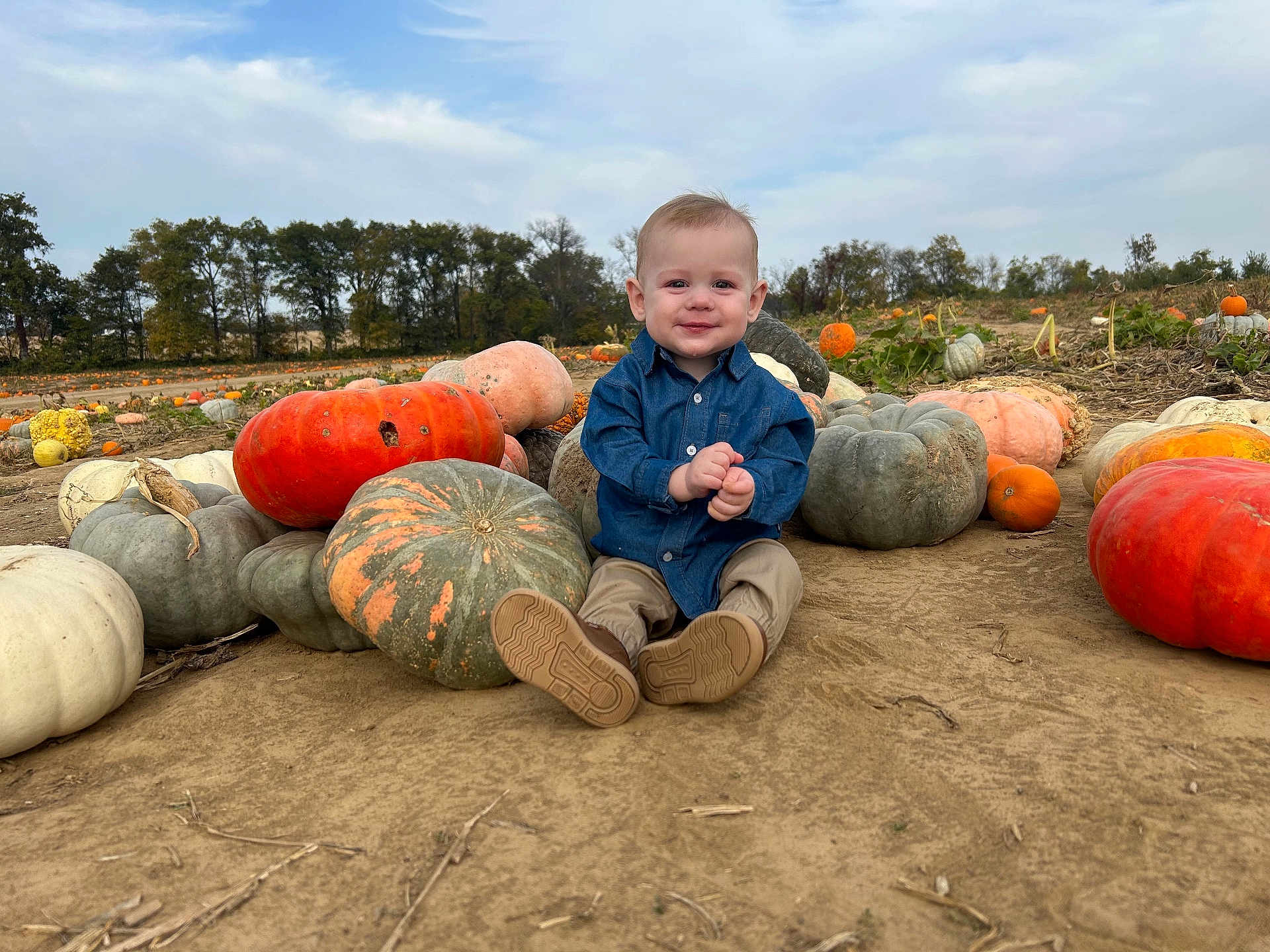 Westyn joined the competition — help win amazing prizes! child, toddler, pumpkin, pumpkin_patch, smiling, outdoor, dirt, fall, nature, denim_shirt, beige_pants, happy, cute, seasonal, autumn, field, trees, sky, casual_clothing, sitting