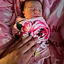 newborn, baby, sleeping, blanket, pink, hand, swaddle, floral_pattern, soft, cozy, infant, resting, tenderness, bed, closeup, cute, peaceful, person, skin, nail_polish