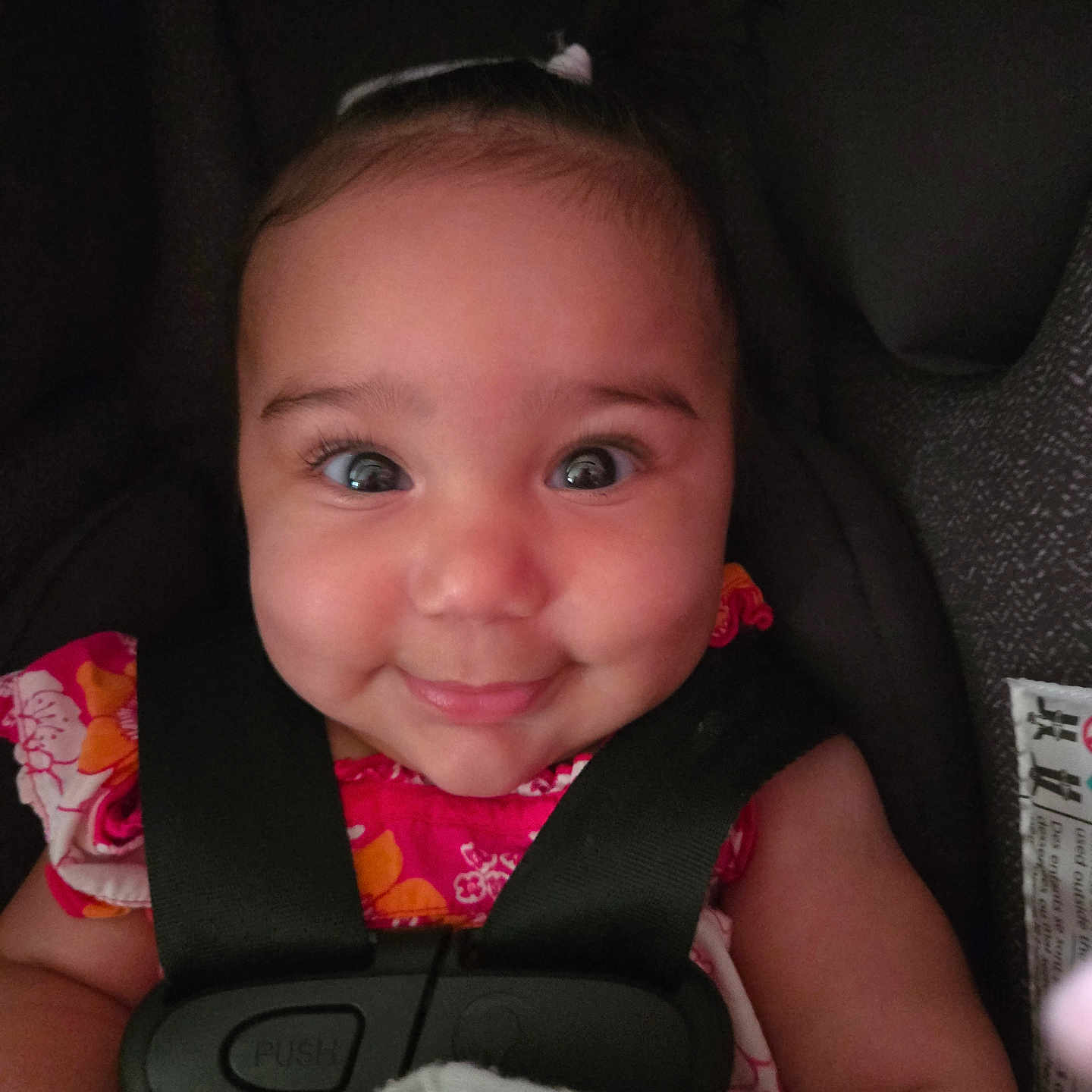 Braylee