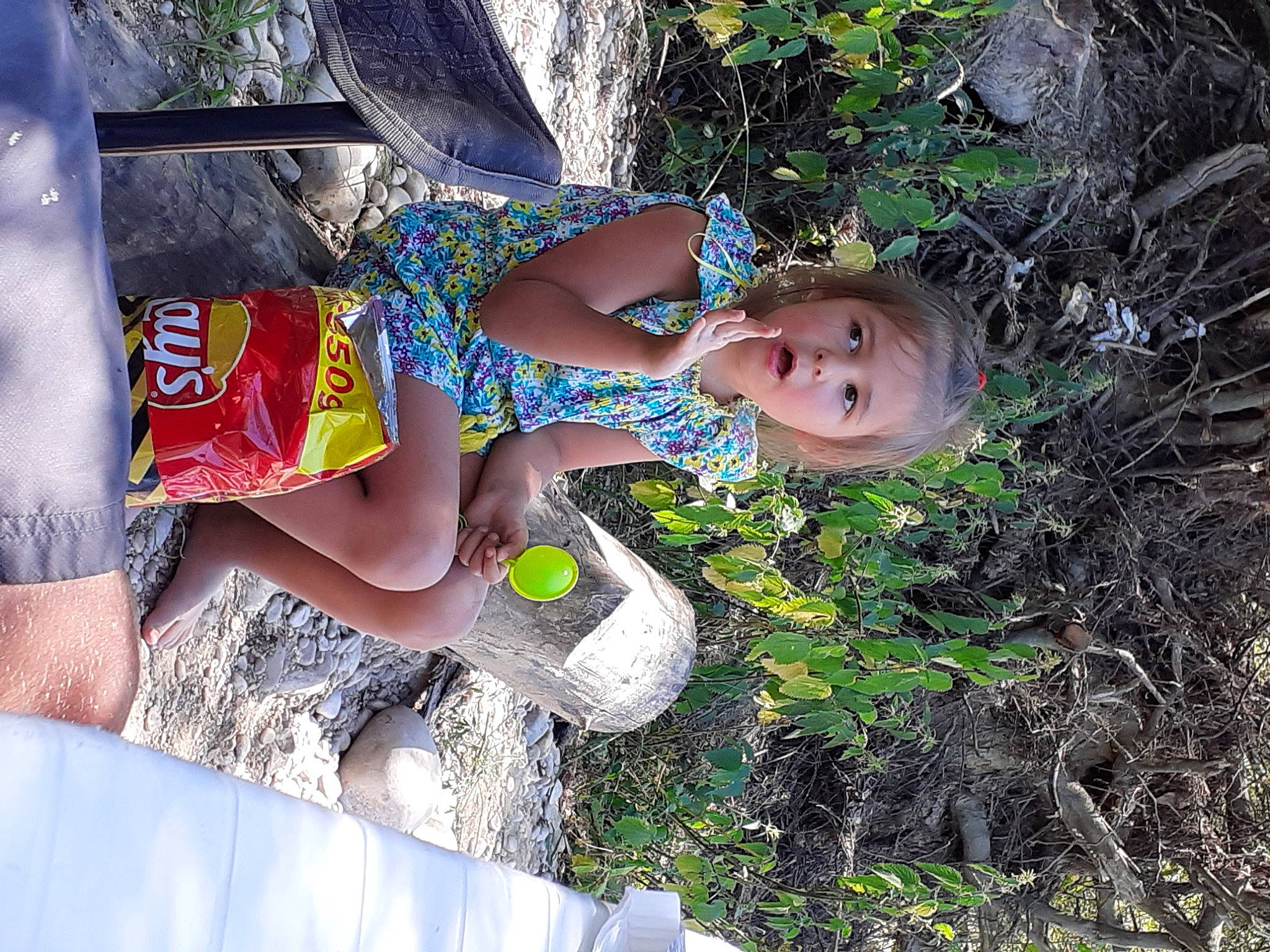 Elise participe au concours pour gagner de l'argent avec cette photo : adaptation, child, fun, grass, person, plant, summer, surprise, tree