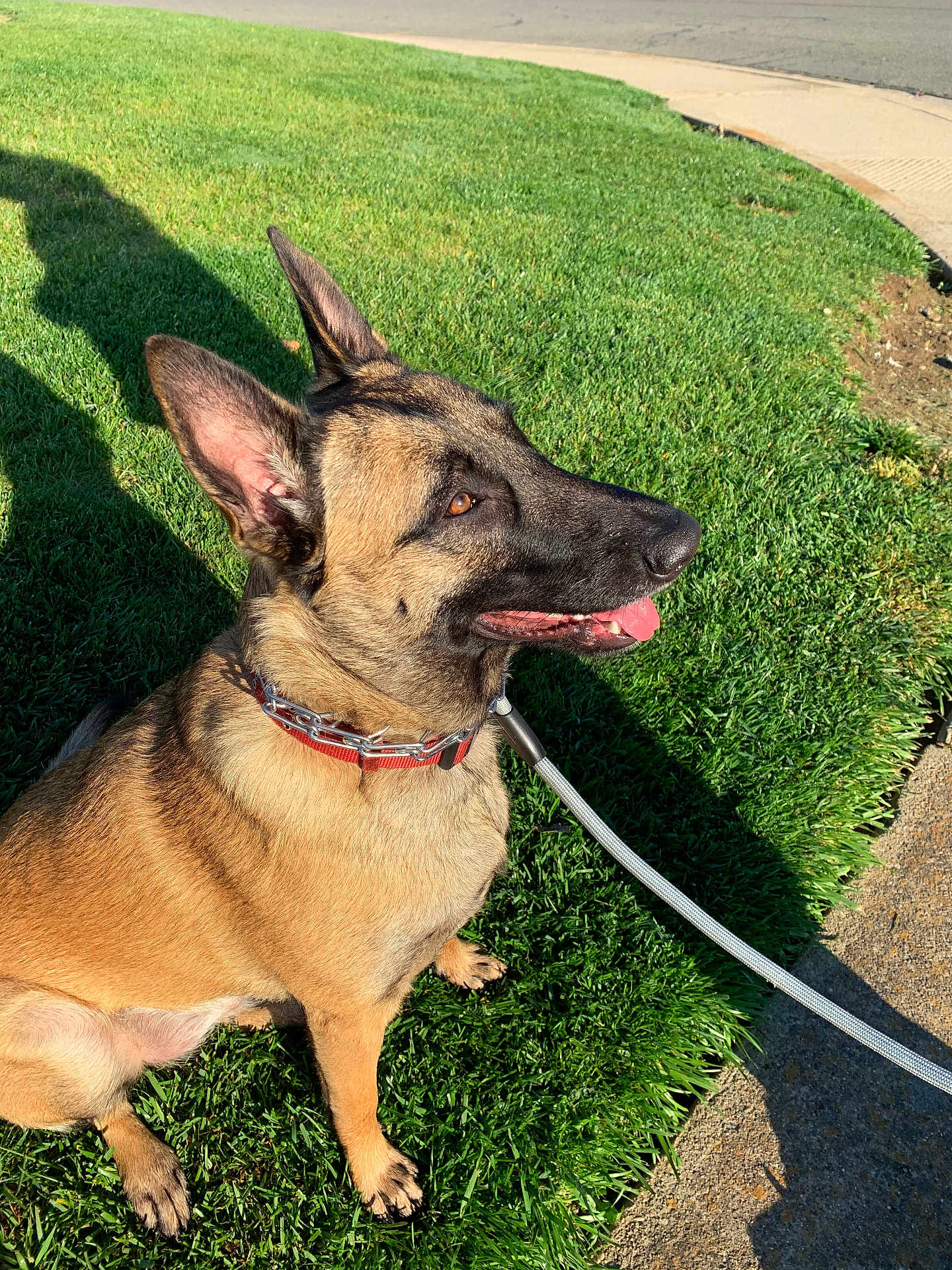 Athena