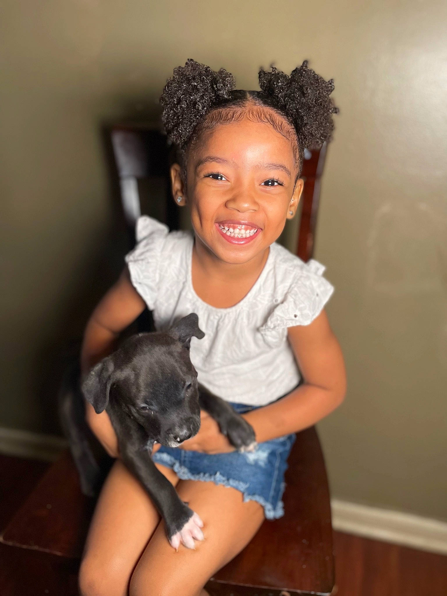 Majesty joined the competition — help win amazing prizes! black_hair, carnivore, companion_dog, dog, dog_breed, fawn, flash_photography, fun, happy, human_body, iris, joy, leg, long_hair, nail, person, shorts, skin, smile, thigh