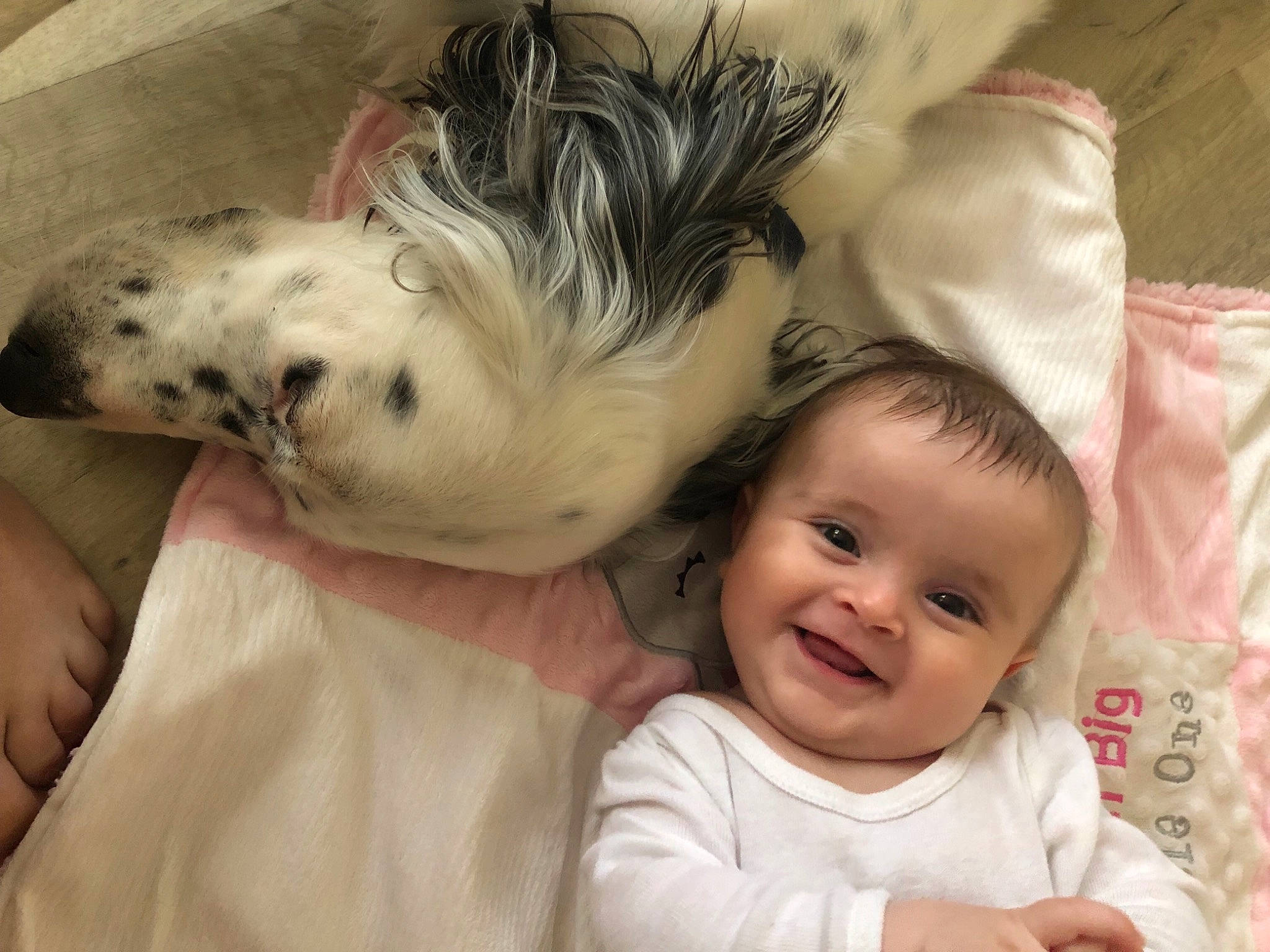Saina participe au concours pour gagner de l'argent avec cette photo : baby, baby_toddler_clothing, carnivore, cheek, child, comfort, companion_dog, dog, dog_breed, eye, felidae, fur, happy, head, joy, person, skin, smile, sporting_group, terrestrial_animal