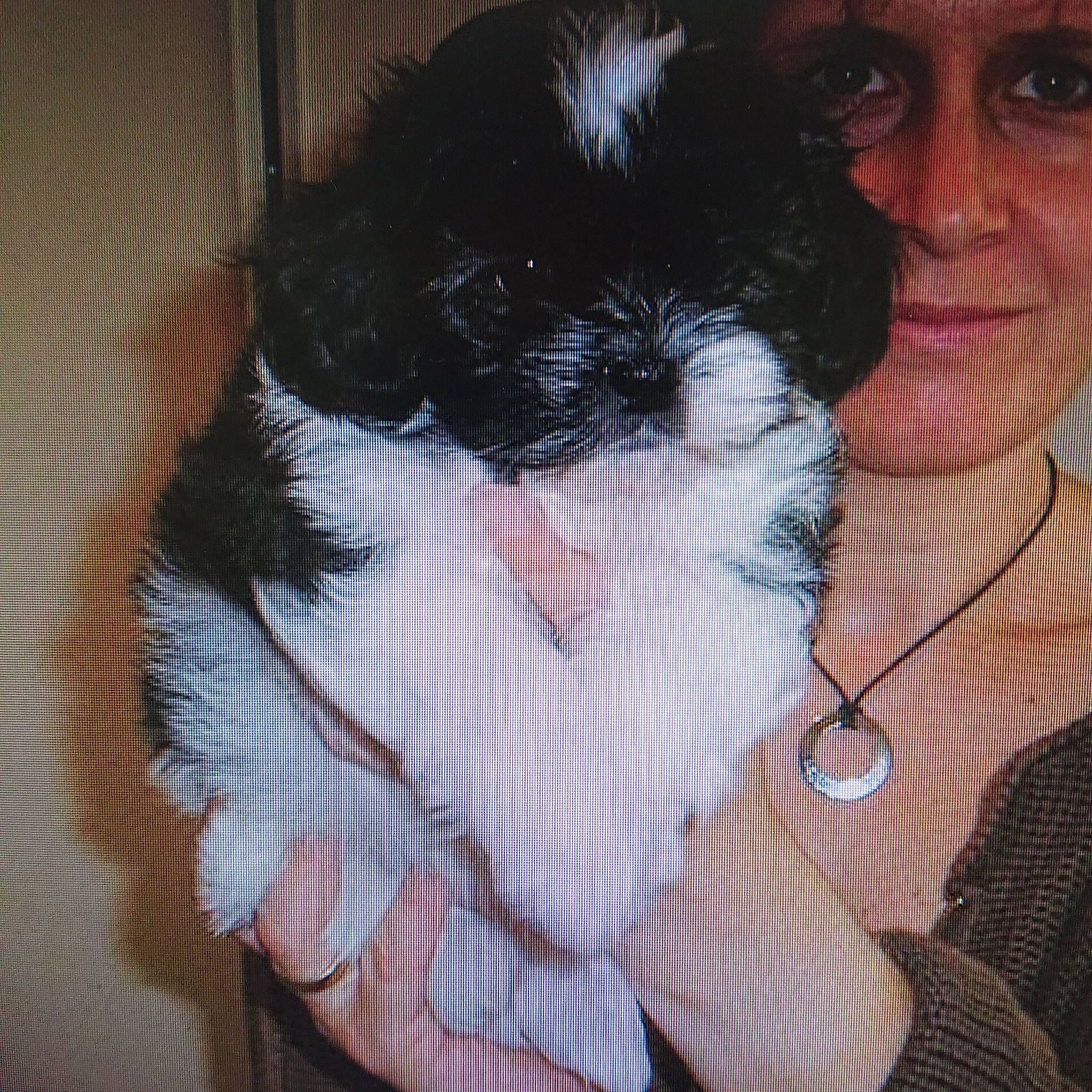 Cerise a rejoint le concours — aidez-le/la à gagner de superbes lots ! black_hair, canidae, fur, hair