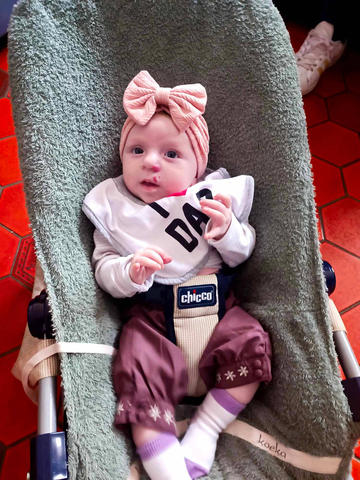 Vanina participe au concours pour gagner de l'argent avec cette photo : baby, baby_carriage, baby_products, baby_toddler_clothing, car_seat, cheek, child, comfort, costume, costume_hat, fun, fur, headwear, magenta, people, person, pink, plush, purple, sitting