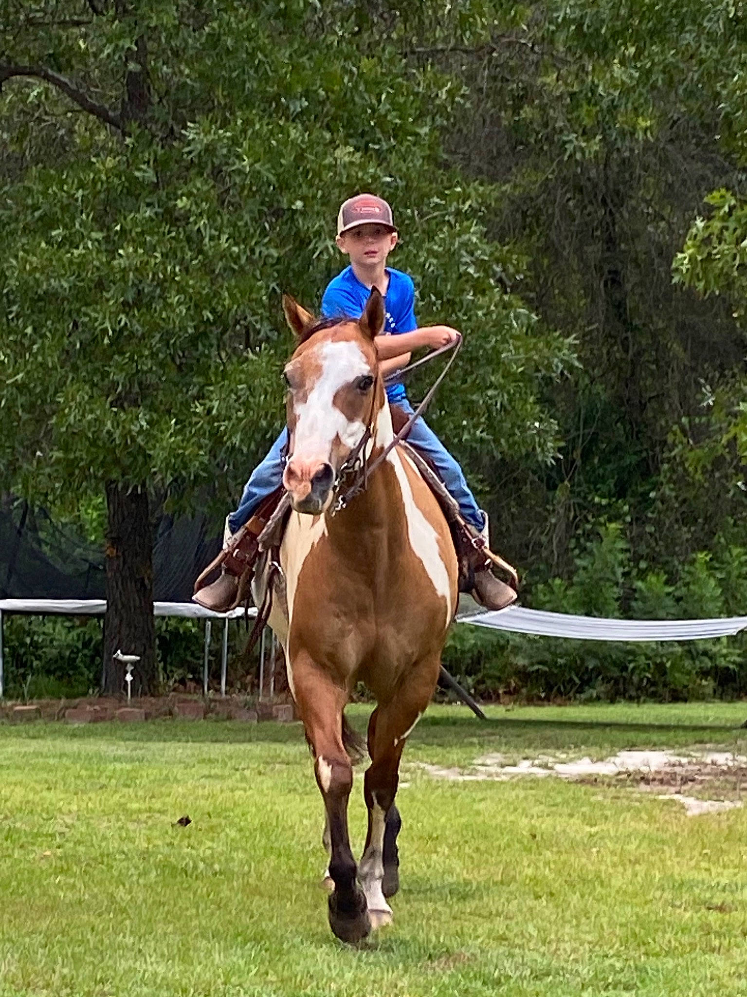 Mac is registered to the contest to win money with this photo: animal_sports, bridle, endurance_riding, equestrian_sport, equestrianism, halter, headwear, horse, horse_supplies, horse_tack, mammal, mane, mare, outdoor_recreation, person, recreation, rein, saddle, sports, stallion