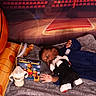 Akeem is registered to the contest to win money with this photo: baby, basketball, black_hair, blanket, blue_clothing, book, bottle, child, floor, indoor, infant, inflatable, lying_down, nursery, playtime, reading, soft_texture, sports_theme, stuffed_animal, toy
