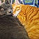 Tigger And Bubba