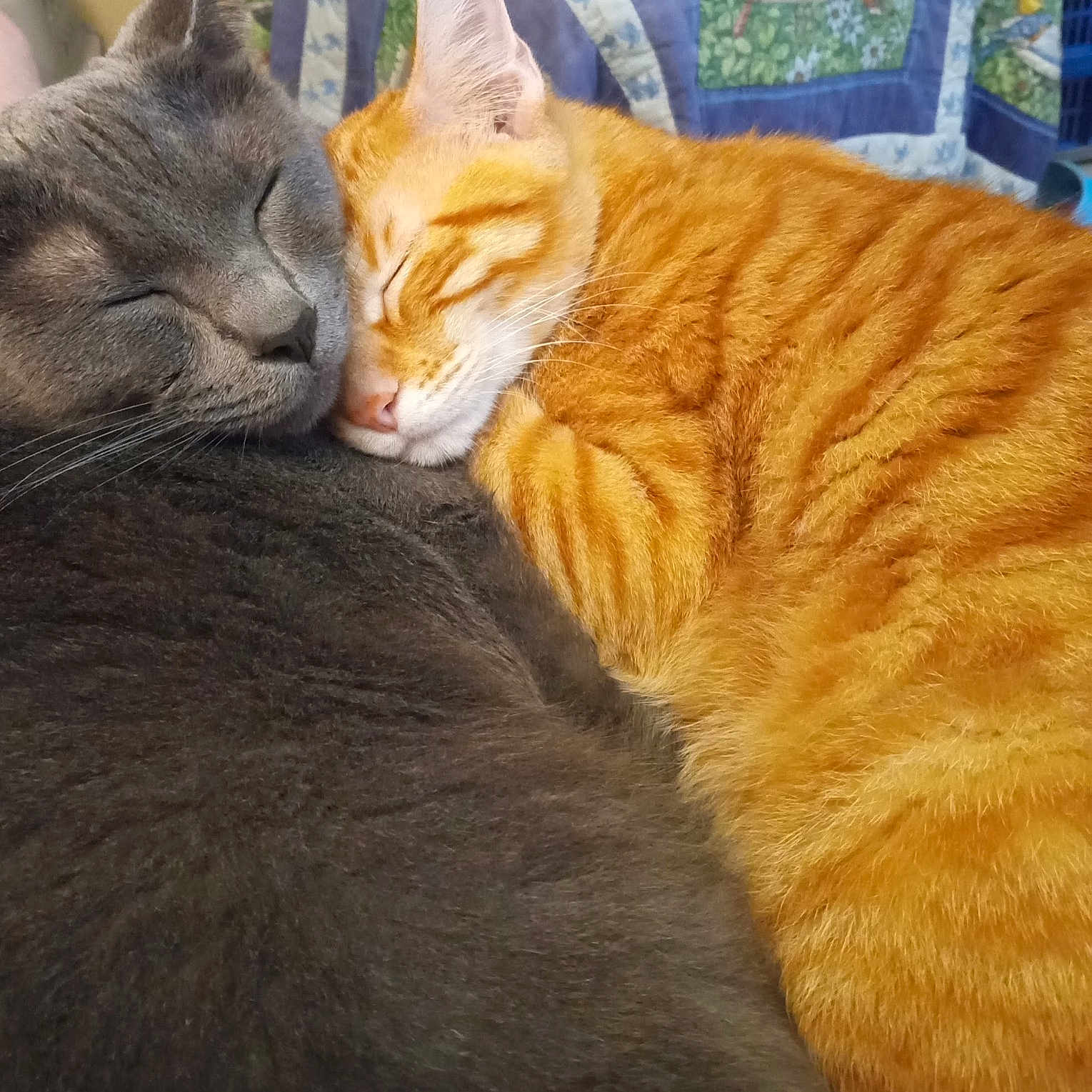 Tigger And Bubba