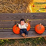 baby, infant, sleeping, pumpkin, autumn, harvest, hay, wooden_bench, outdoor, farm, fall, orange, rustic, portrait, seasonal, gourds, sunlight, cozy, clothing, newborn