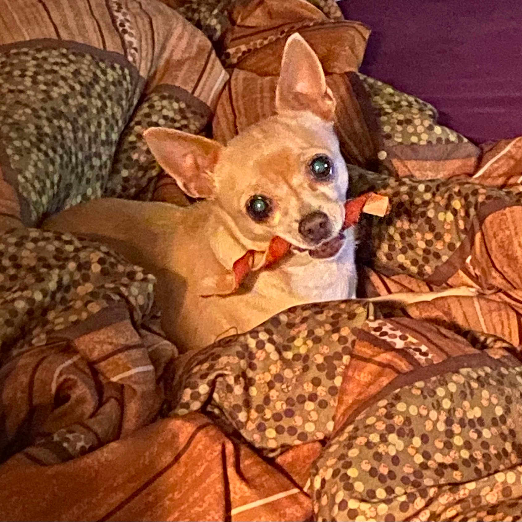 Trixie Day