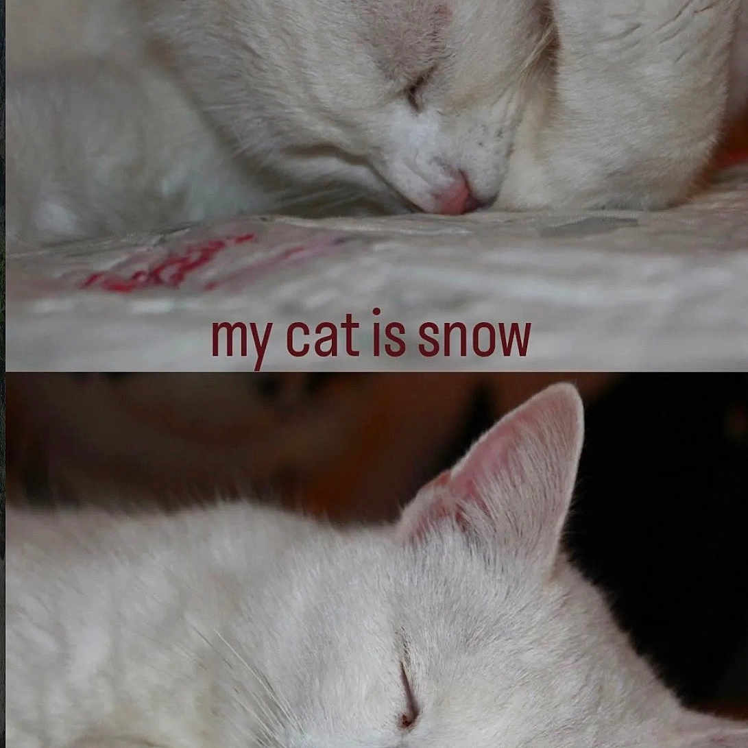 Snow
